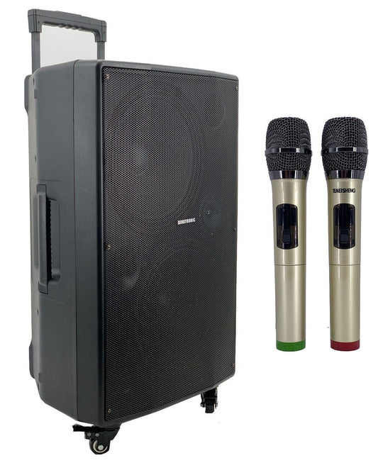 Singtronic BT-1212Pro Professional Portable 12" Double Woofer Bluetooth Speaker Karaoke System
