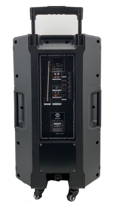 Singtronic BT-1212Pro Professional Portable 12" Double Woofer Bluetooth Speaker Karaoke System