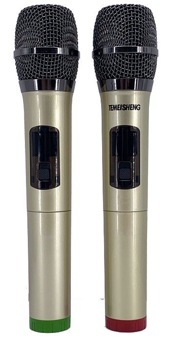 Singtronic BT-1212Pro Professional Portable 12" Double Woofer Bluetooth Speaker Karaoke System