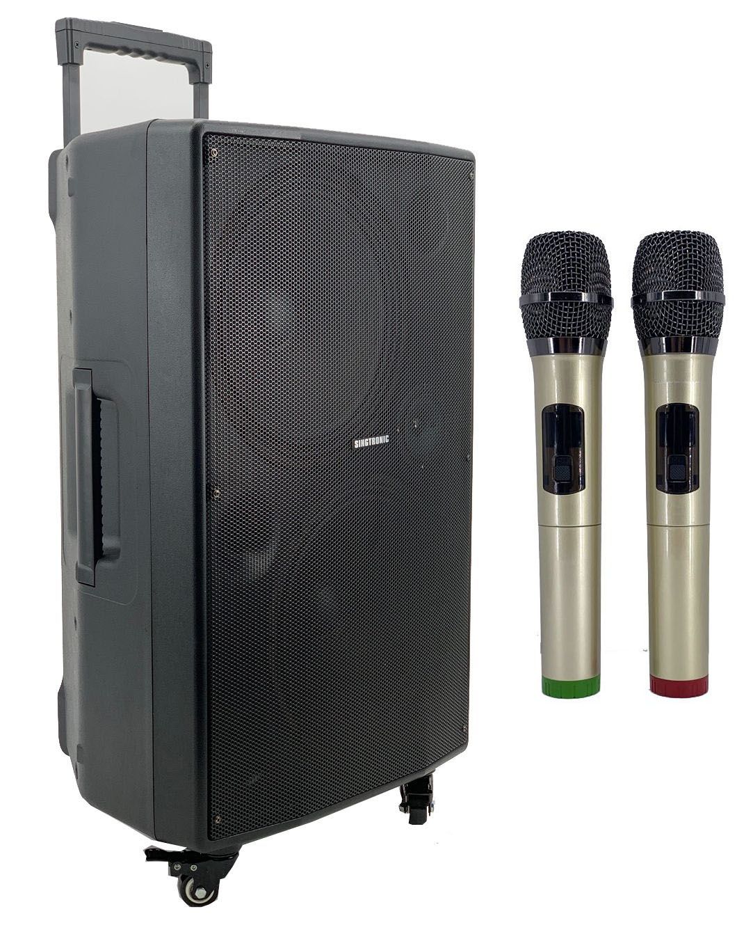 Singtronic BT-1212Pro Professional Portable 12" Double Woofer Bluetooth Speaker Karaoke System
