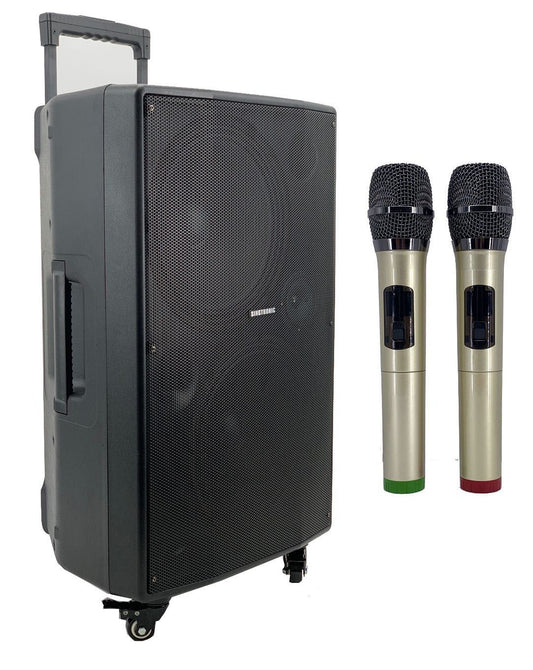 Singtronic BT-1212Pro Professional Portable 12" Double Woofer Bluetooth Speaker Karaoke System