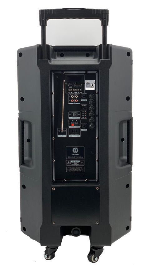 Singtronic BT-1212Pro Portable 800W Karaoke System Bluetooth Speaker