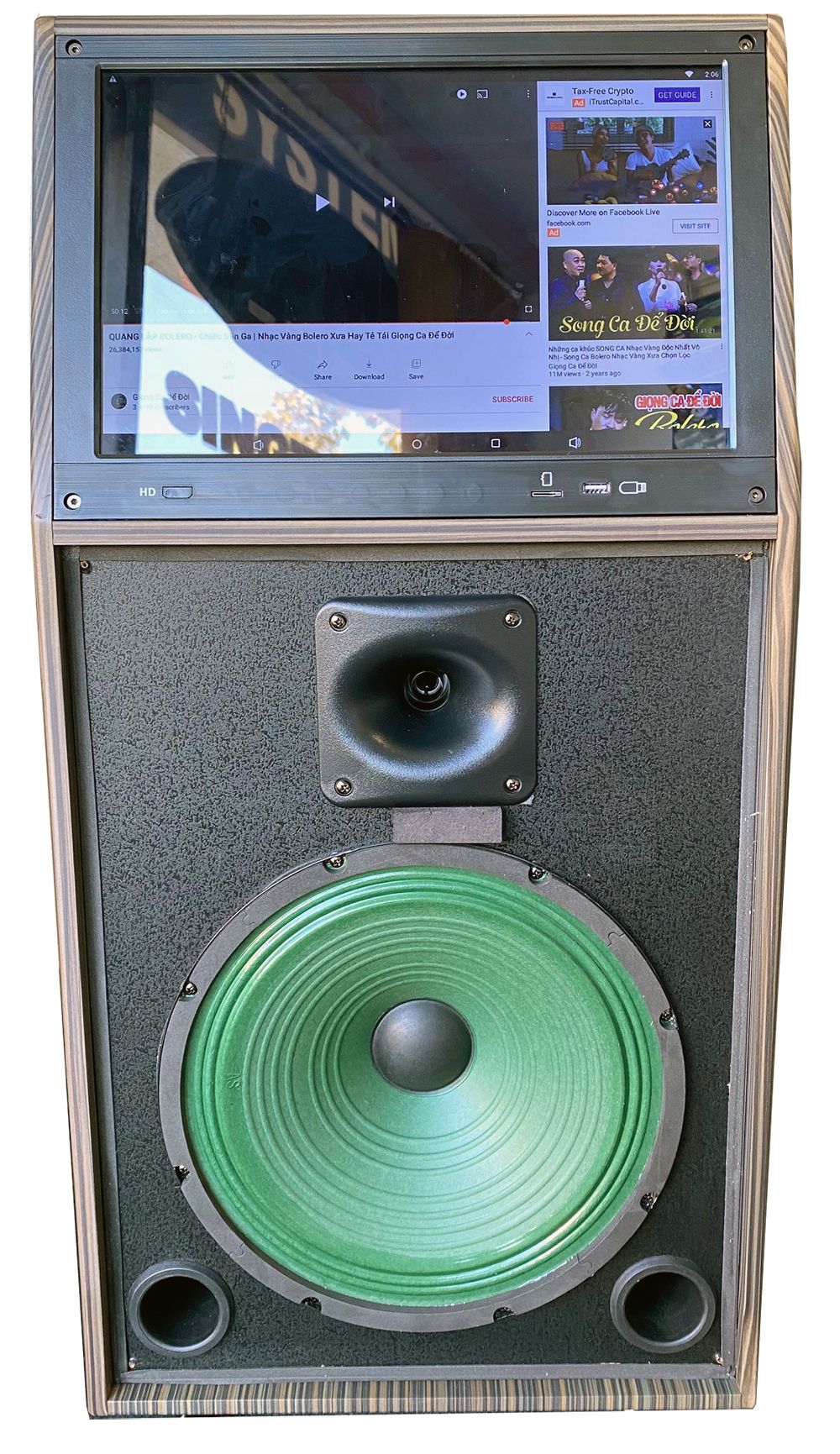 Singtronic BT-888Pro Professional 1000W Powered 12" Bluetooth Speaker Karaoke System