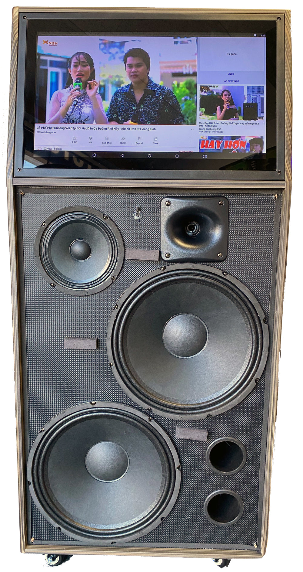 Singtronic BT-999Pro Professional Portable Karaoke System Bluetooth Speaker 19" Touch Screen