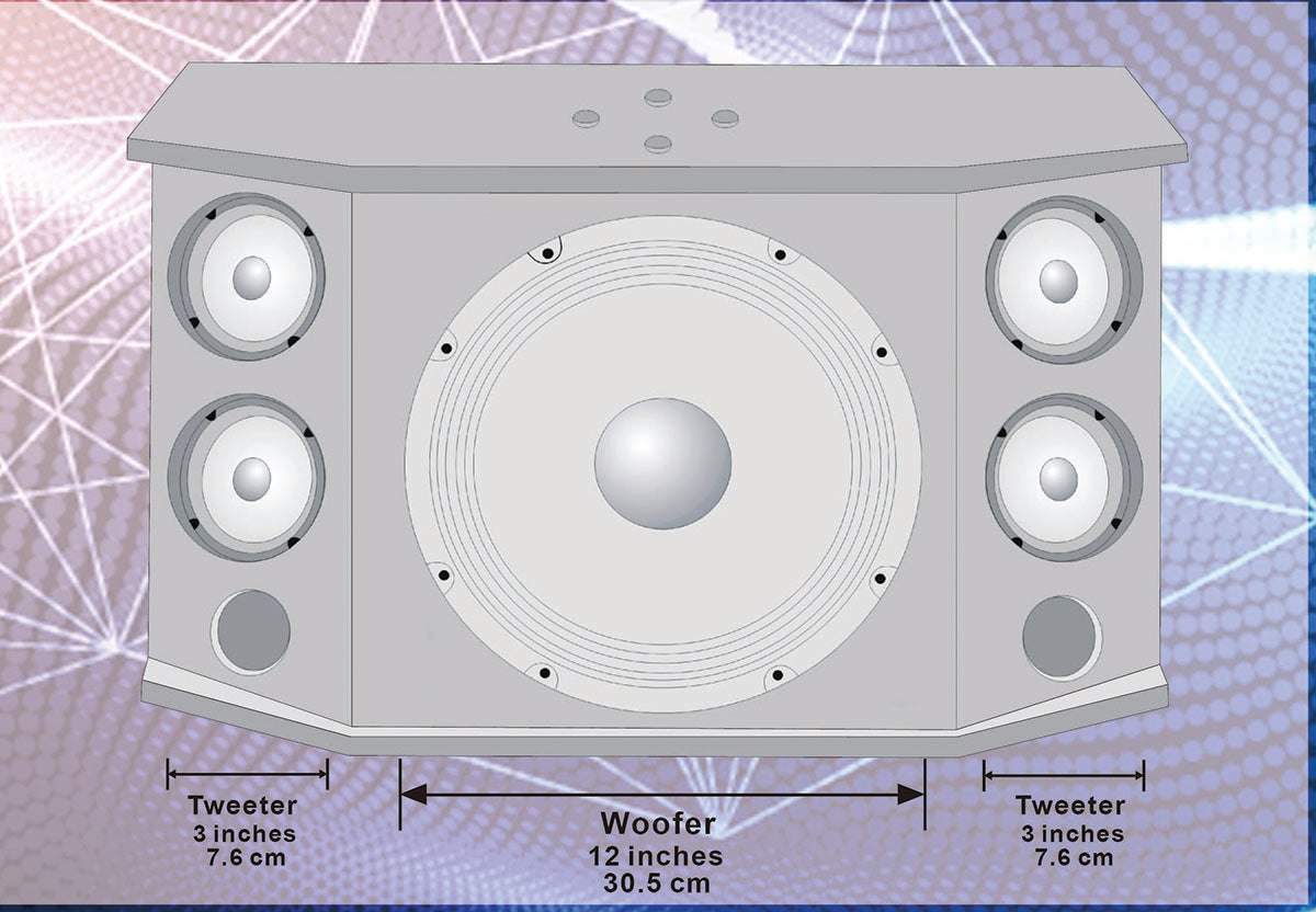Singtronic KS-3000V Professional 3000W Karaoke Speaker