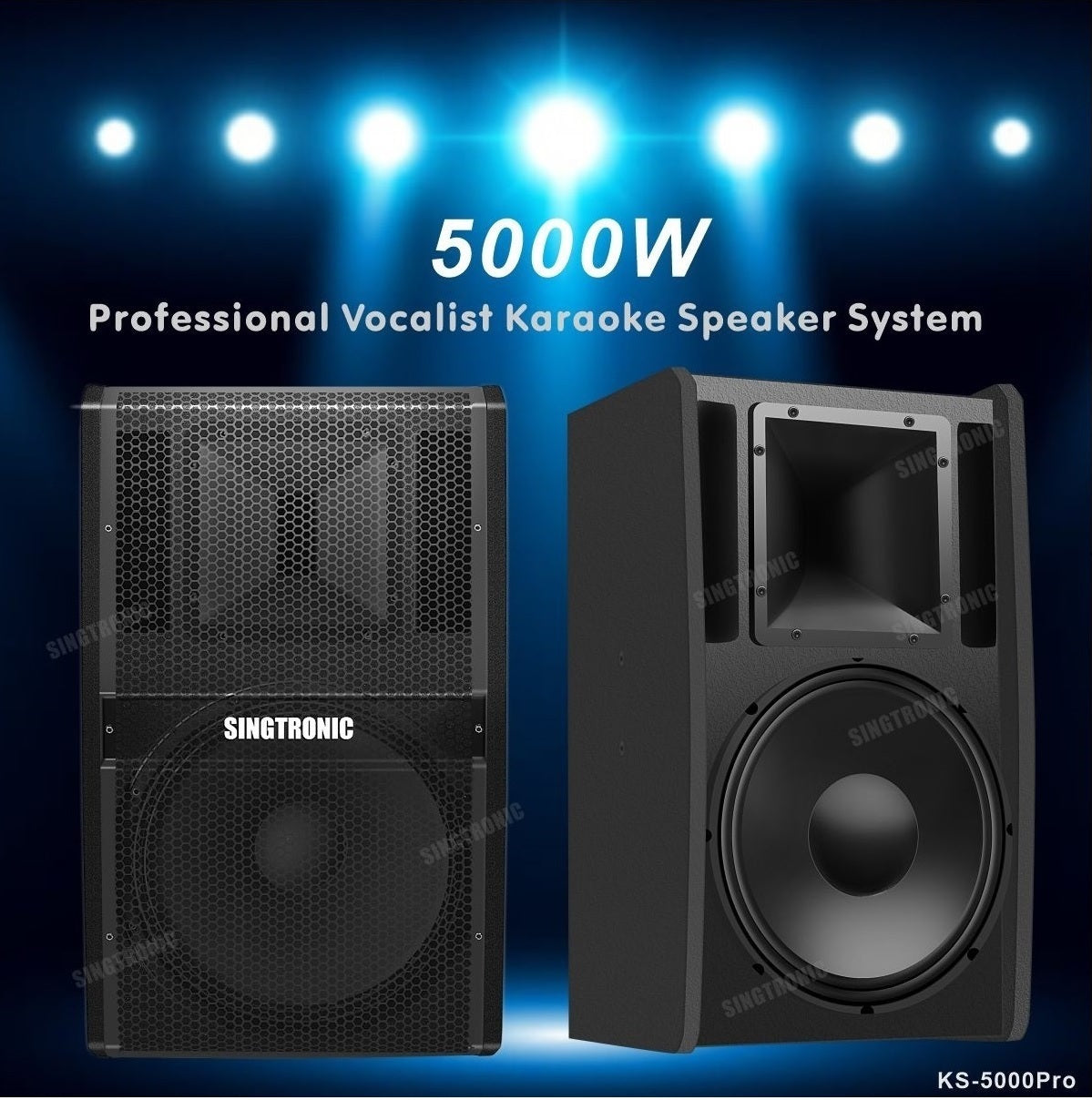 Professional Karaoke Speaker 5000W Bookshelf by Singtronic
