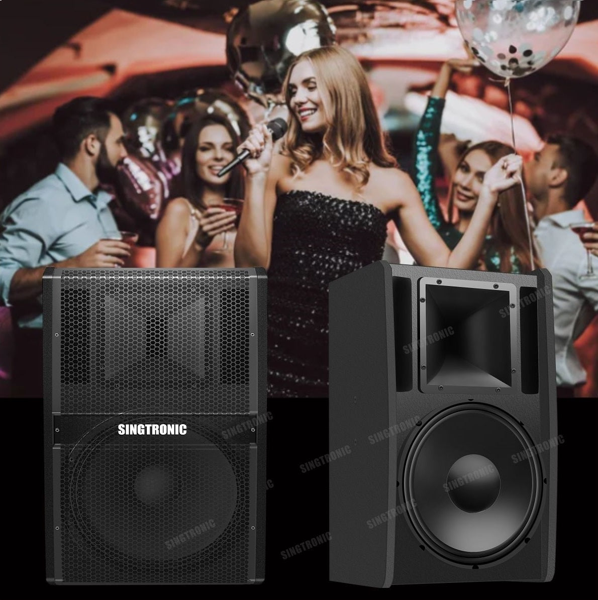 Professional Karaoke Speaker 5000W Bookshelf by Singtronic