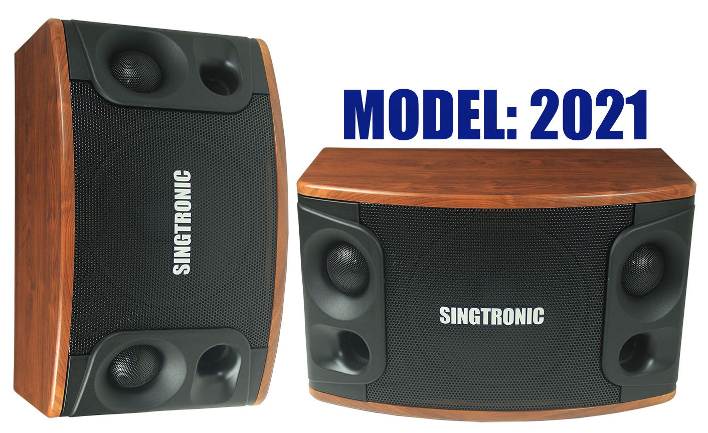 Singtronic Professional 1200W YouTube Karaoke System