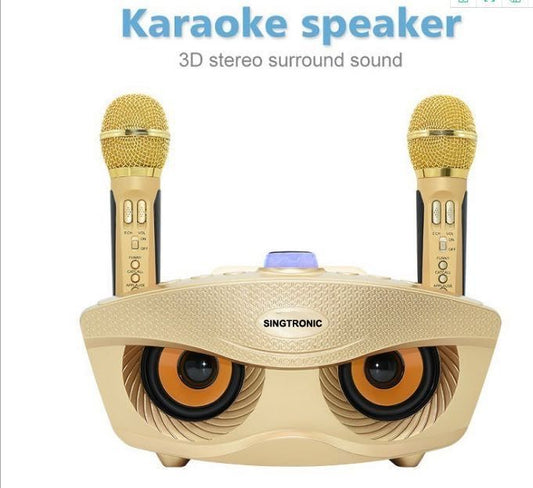 Singtronic SD-306 Family Mini KTV Portable Bluetooth Speaker Karaoke System