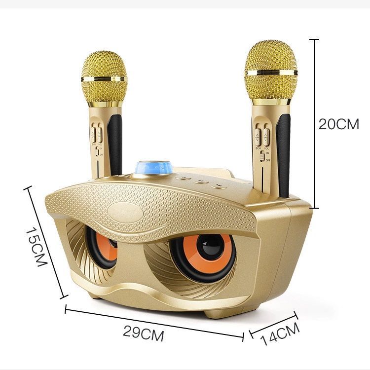 Singtronic SD-306 Family Mini KTV Portable Bluetooth Speaker Karaoke System