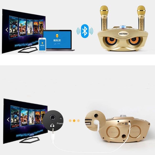 Singtronic SD-306 Family Mini KTV Portable Bluetooth Speaker Karaoke System