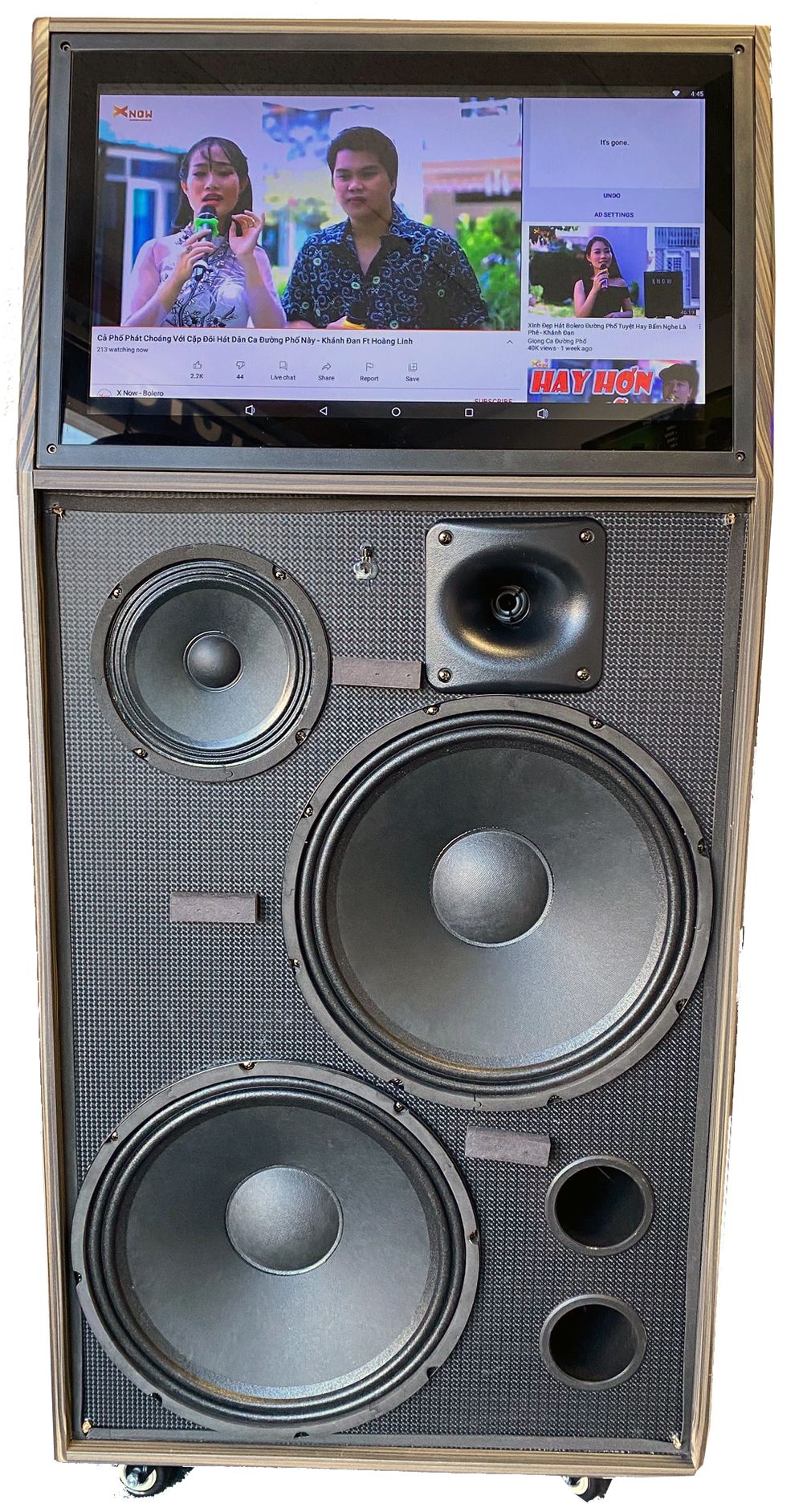 Singtronic BT-999Pro Professional 1200W Powered Double 12" Bluetooth Speaker Karaoke System
