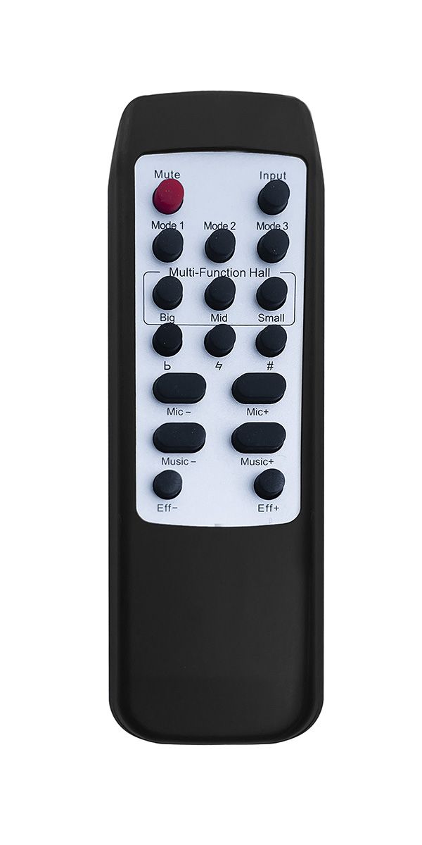 Singtronic DSP-3000Pro Digital 2 in 1 Professional Karaoke Mixer & Processor