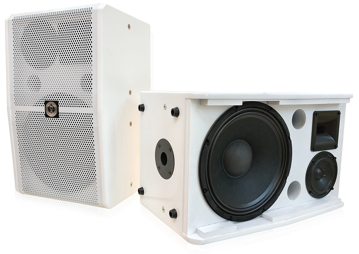 Singtronic KS-3000ProW Professional 3000W Karaoke Vocalist Speaker