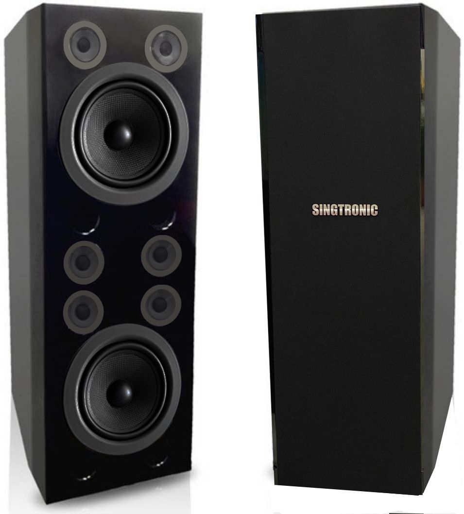 Singtronic Professional Complete 4000W Karaoke System