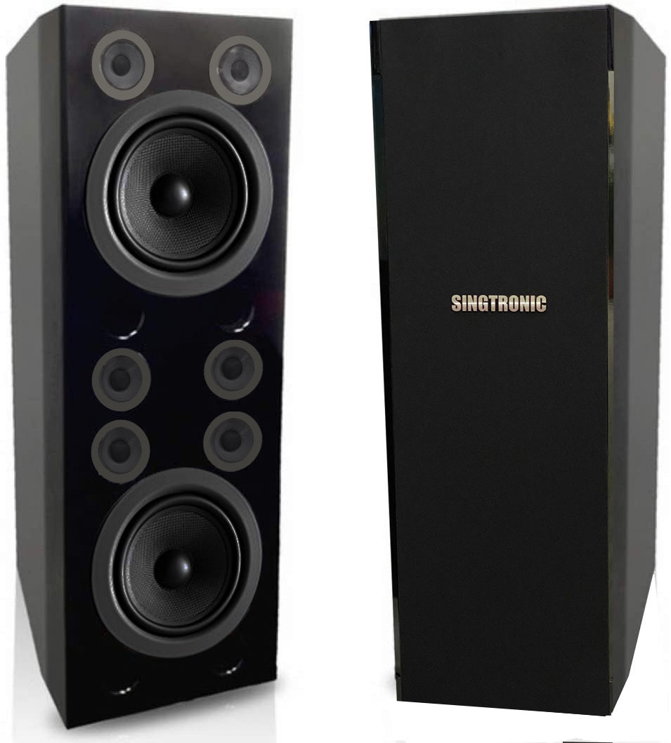Singtronic Professional Complete 5000W Karaoke System
