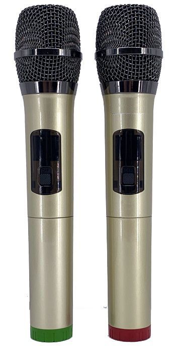 Singtronic BT-1212Pro Professional Portable 12" Double Woofer Bluetooth Speaker Karaoke System